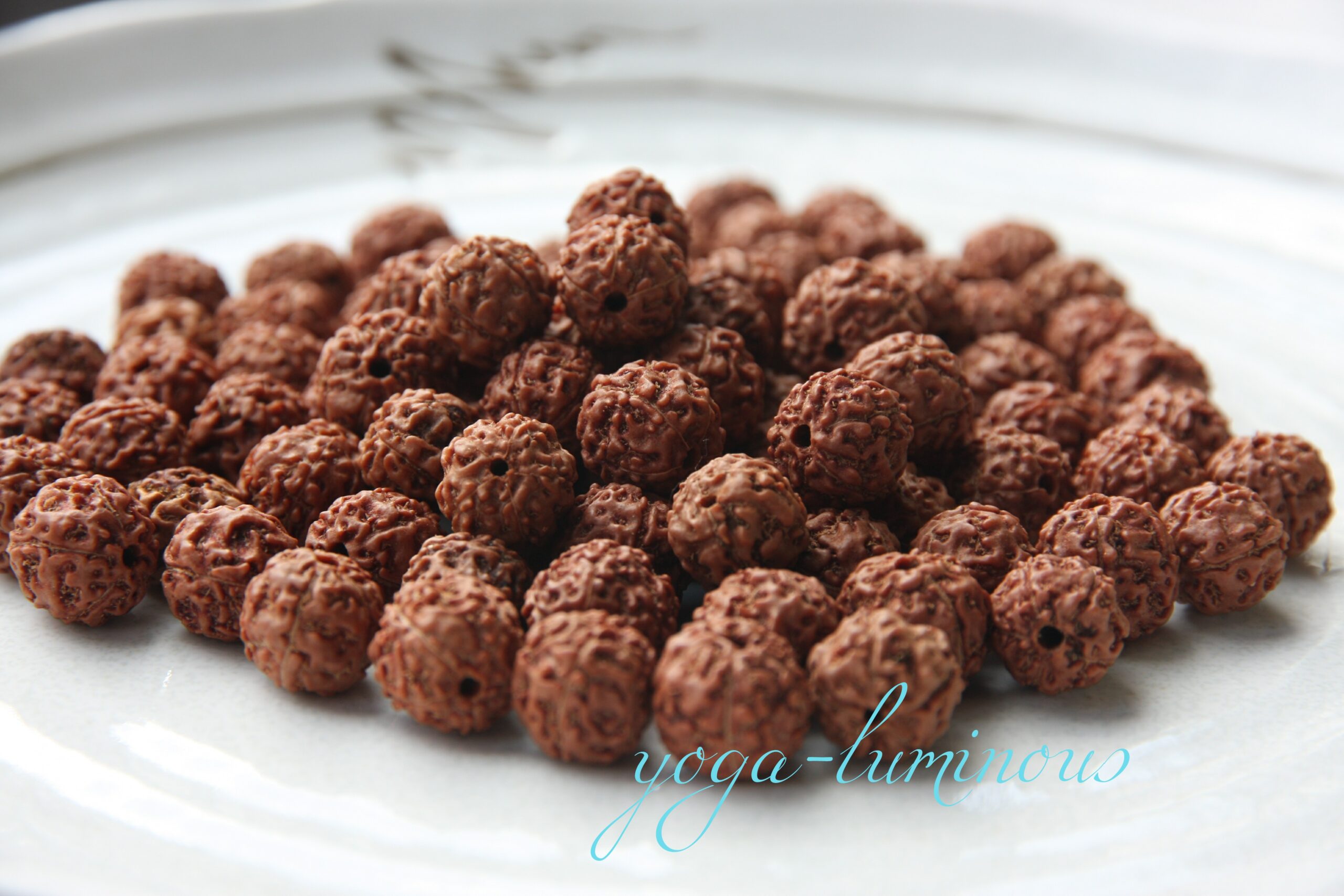 ルドラクシャ粒